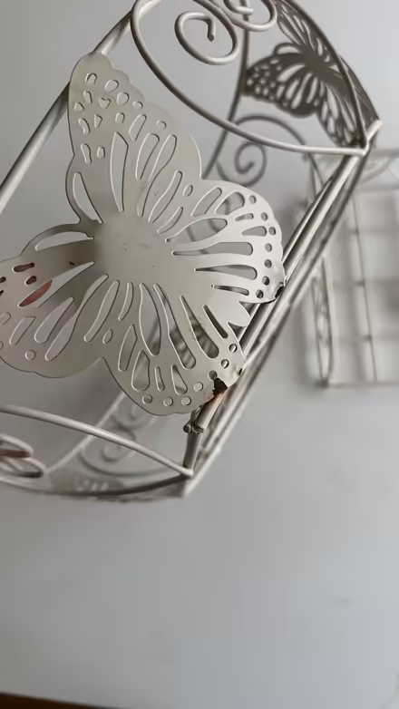 Photo of free Fruit basket and napkin (AL4) #3