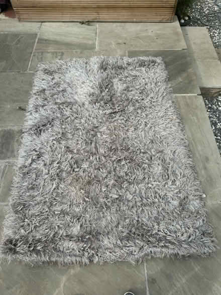 Photo of free Silver rug (Coventry Wyken) #1