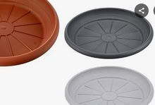 Photo of plastic saucers for plant pots (Dukinfield SK16) #1