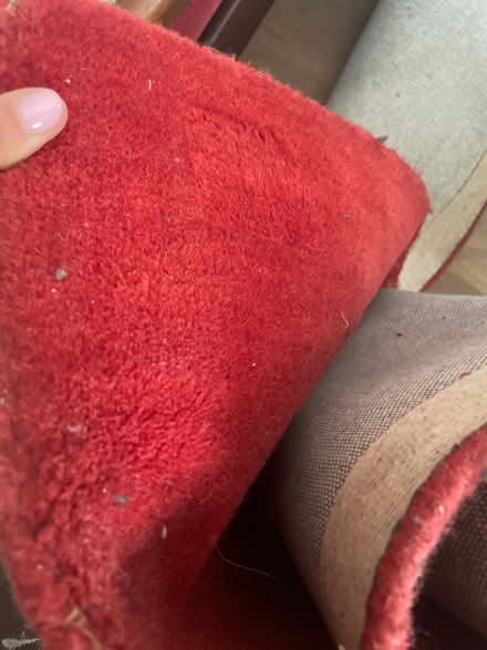 Photo of free Rose red colour 100% wool rug (SW20) #2