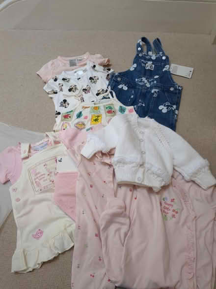 Photo of free Baby girl clothes 4-9 months (Herne Hill) #1