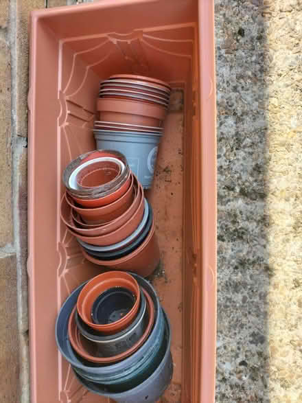 Photo of free Flower Planter &Various Flower Pots (Waterlooville PO7) #2