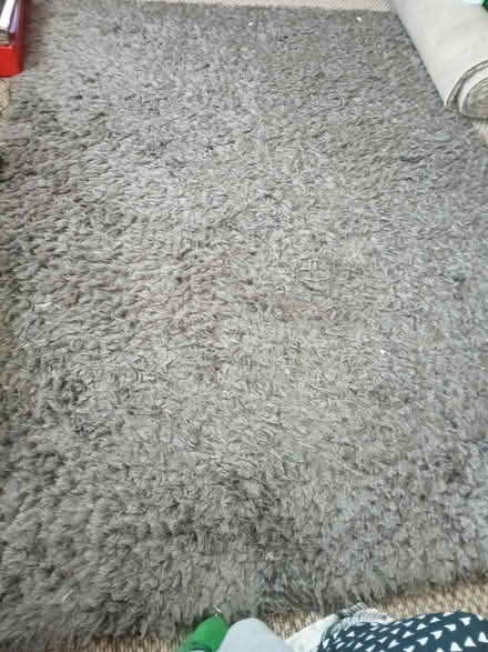 Photo of free Rug (BS4) #1