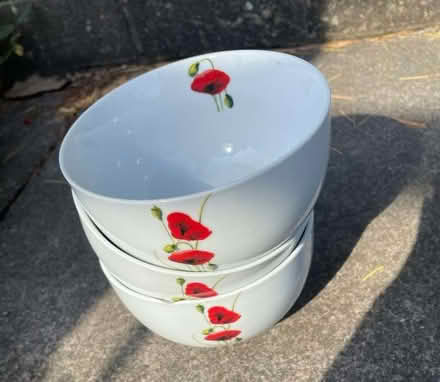 Photo of free 3 x breakfast bowls (Garthmyl SY15) #1