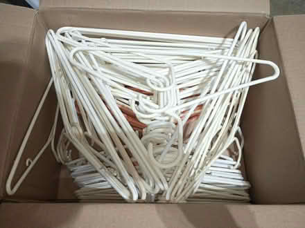 Photo of free Lots of plastic hangars (Sunrise- near City Hall) #1