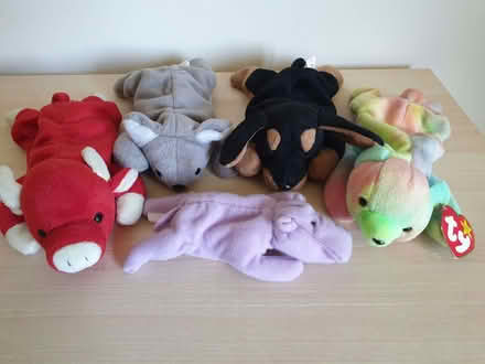 Photo of free Ty Beanie Babies (Radford Semele CV31) #1