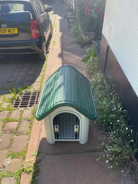 Photo of free Dog/cat shelter (SK4, Stockport) #1
