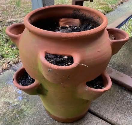Photo of free Clay planter (West Bloomington) #1