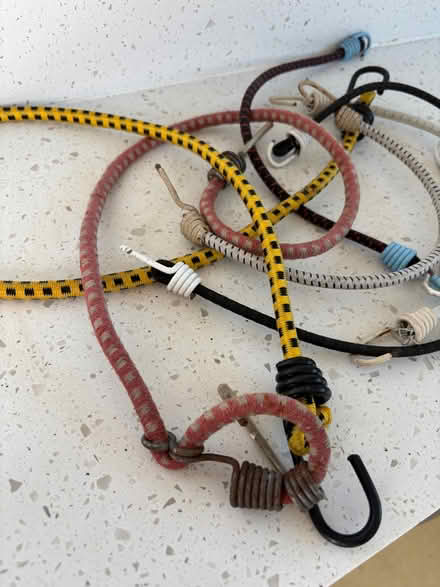 Photo of free Bungee straps (Bexleyheath DA6) #1