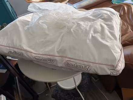Photo of free BeautyRest Medium Pillow (East Sunrise) #1
