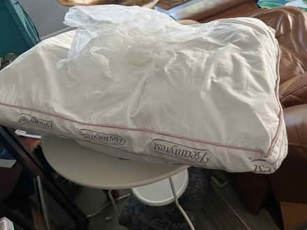 Photo of free BeautyRest Medium Pillow (East Sunrise) #1