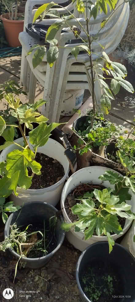 Photo of Plastic bins or large paint containers (Far Bletchley MK3) #2