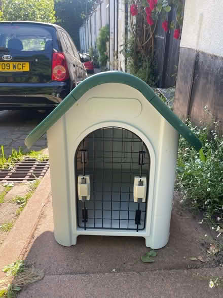 Photo of free Dog/cat shelter (SK4, Stockport) #2