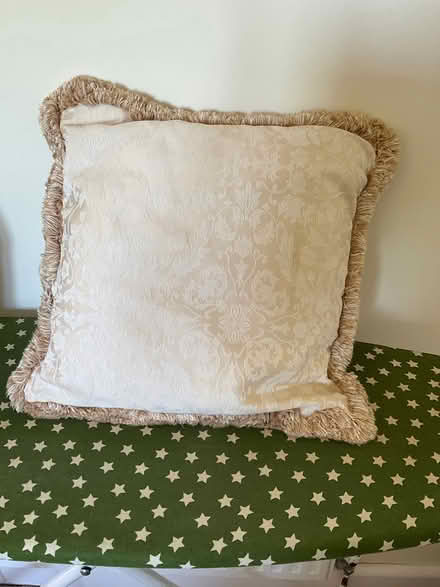 Photo of free Pair Dorma cushions with covers (Erlestoke Devizes SN10) #1