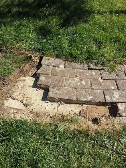 Photo of free Bricks from garden path (BS31) #1