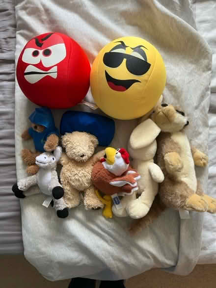 Photo of free Assorted soft toys (St. Michaels Mead, B/Stortford) #1