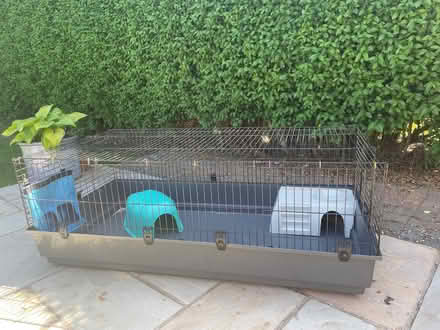 Photo of free Guinea pig / rabbit cage (Hoole CH2) #1