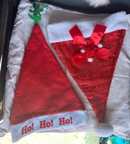Photo of free 9 Christmas hats and 3 reindeer headbands (Brecon LD3) #4
