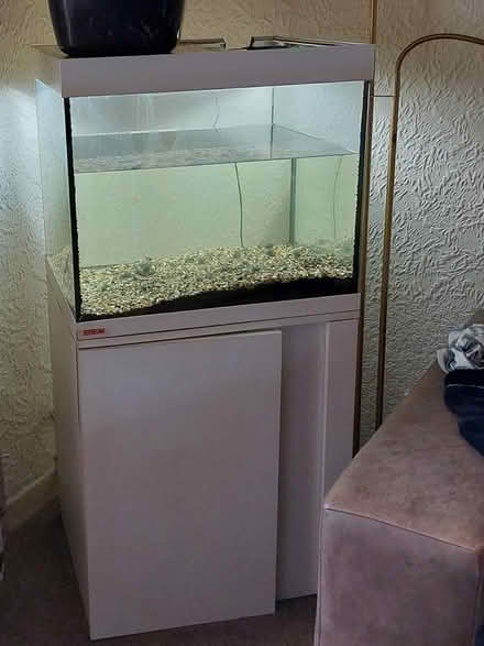 Photo of free Fish Tank (Glasgow Craigton G52) #1