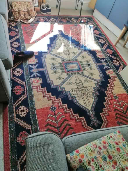Photo of free Large patterned rug (Meersbrook S8) #2