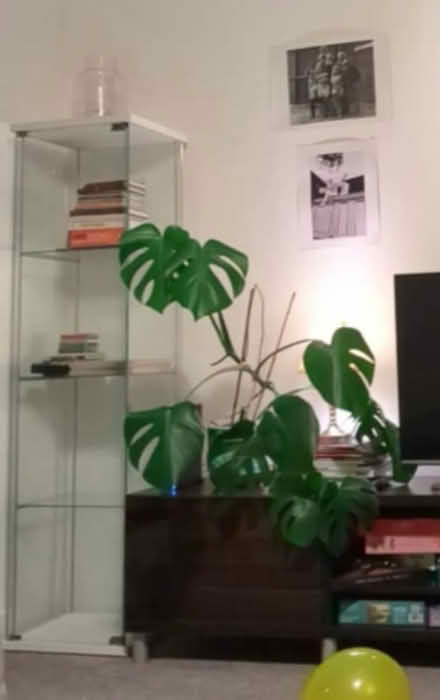 Photo of free Glass cabinet (Florence Park OX4) #1