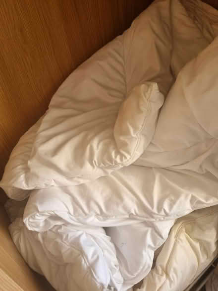 Photo of free Duvet - Super King (Bangor LL57) #1