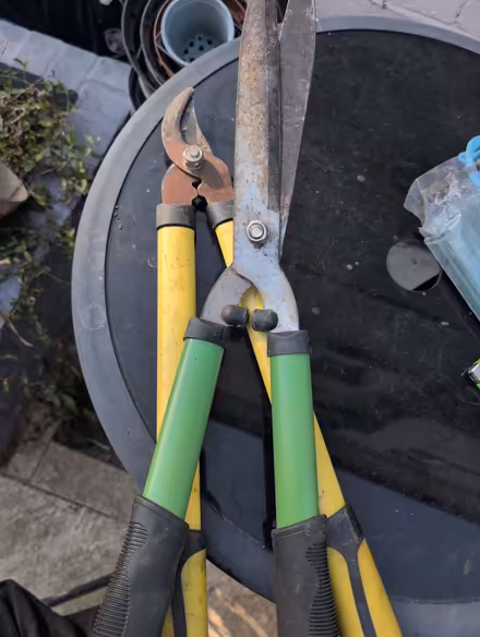 Photo of free Gardening tools and stakes (Pudsey LS28) #1
