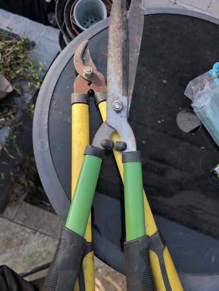 Photo of free Gardening tools and stakes (Pudsey LS28) #1