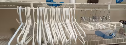 Photo of free Plastic clothes hangers (Weldon Spring) #1
