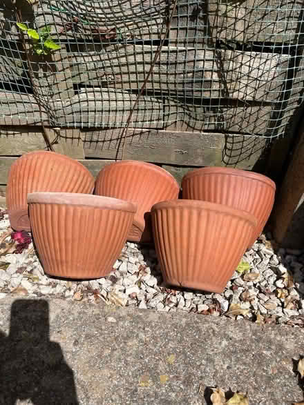 Photo of free Terracotta Hanging Baskets (Cooden TN39) #1