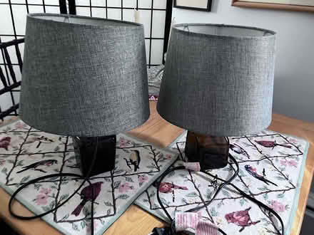 Photo of free Small Grey Lamps (Takoma, DC) #1