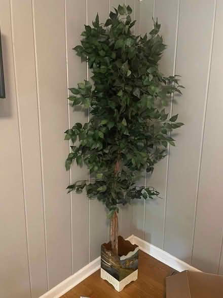 Photo of free 7ft fake tree (Franklin & Davie Circle) #1