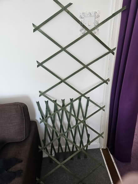 Photo of free 2 pieces of expanding trellis (EX8) #3