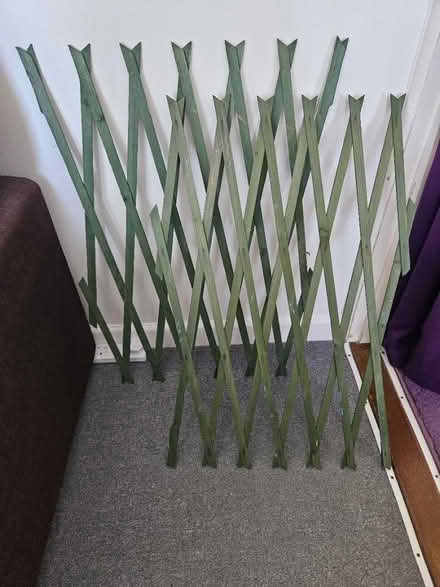 Photo of free 2 pieces of expanding trellis (EX8) #2