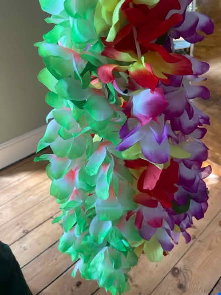Photo of free Big bag of party goodies (Wood Green N22) #2
