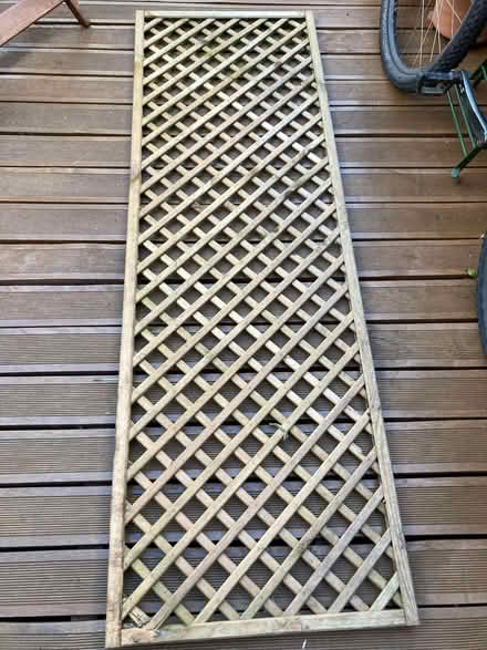 Photo of free Trellis (Osney OX2) #1