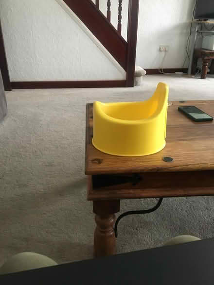 Photo of free small potty (Edmonton, N18) #1