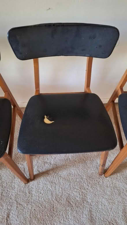 Photo of free Four Chairs (Ware SG12) #2