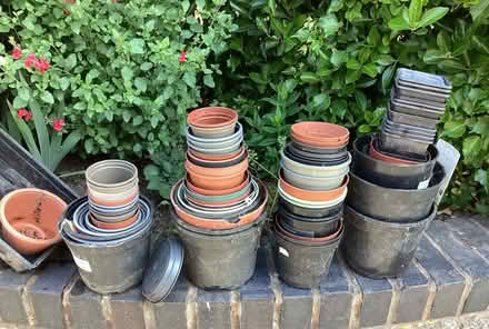 Photo of free Garden (south hereford 3miles) #1
