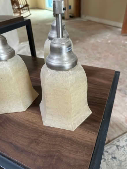 Photo of free 3 pendant lights (Clinton Twp near reservoir) #2