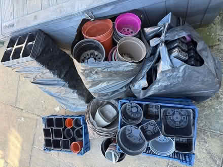 Photo of free Flowerpots and seedling trays (Hoylandswaine S36) #1