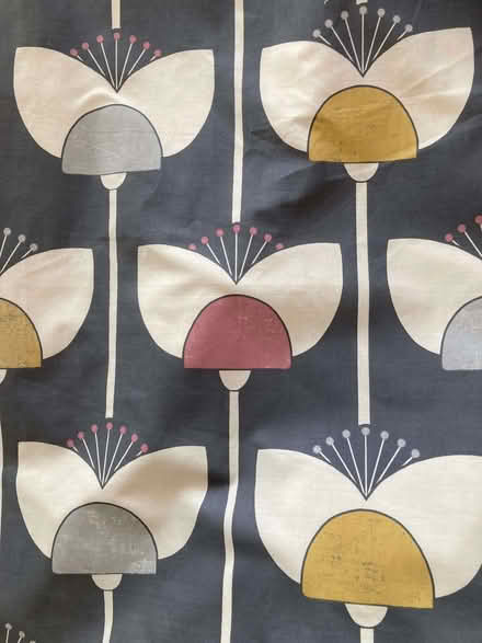 Photo of free Curtains (Nether Poppleton YO26) #1