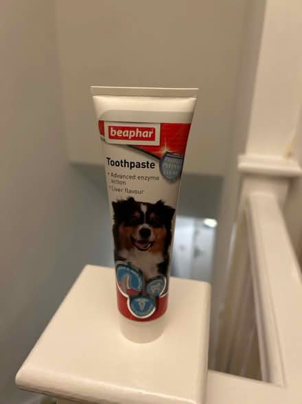 Photo of free Pet toothpaste (Jennetts park RG12) #1
