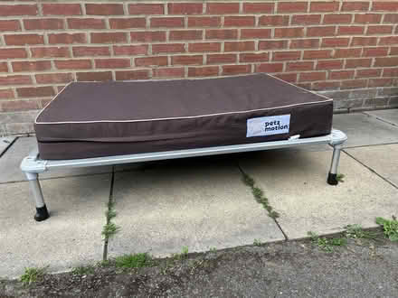 Photo of free large dog bed & mattress (Chalgrove OX44) #1