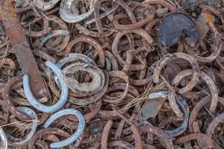 Photo of horseshoes (Bishop auckland DL14) #1