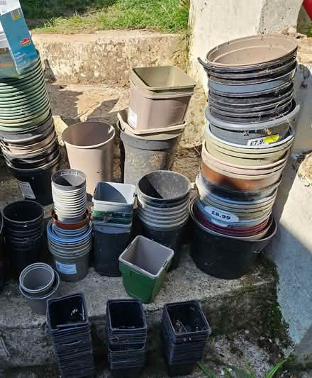 Photo of free Plant pots from 9 cm upwards (Randwick GL6) #1