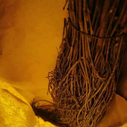 Photo of free Witches broom (Felling) #1