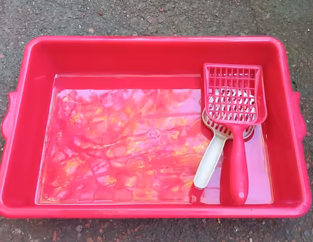 Photo of free Cat Litter Tray & Scoop (Low Fell NE9) #1