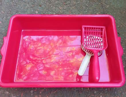Photo of free Cat Litter Tray & Scoop (Low Fell NE9) #1