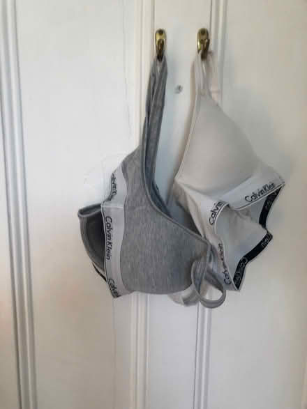 Photo of free Calvin Klein bras size medium (Bear Flat) #1